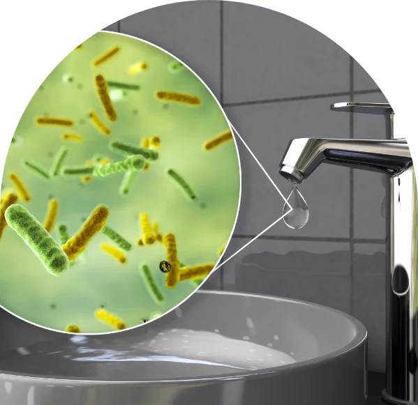 Limpide | Problèmes d’eau - diagnostics et solutions